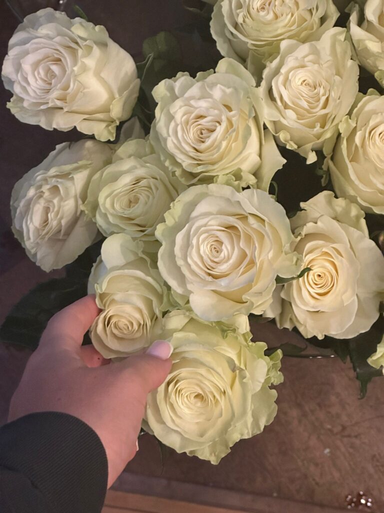 34236018-9449-4304-b8b6-5cab77bcef11